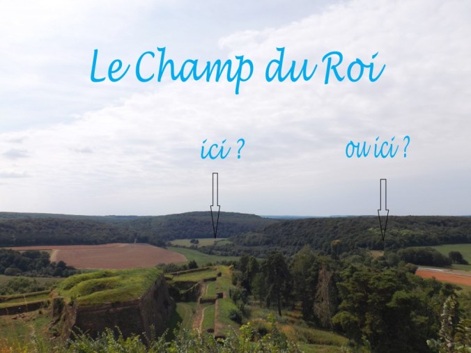 champ du roi - Copie