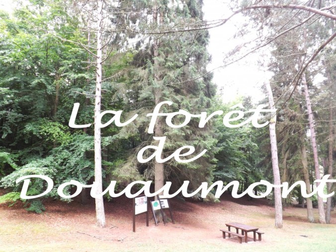 la forêt de Douaumont