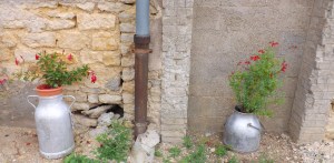 pots à lait de fleur