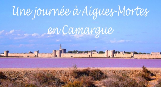 aigues mortes et salins