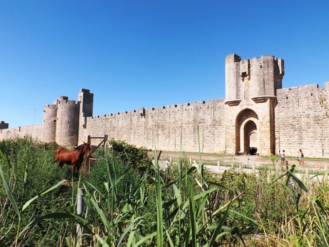 porte aigues-mortes cheval