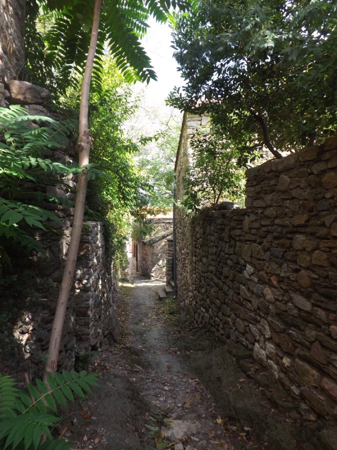 vieille rue en pierres