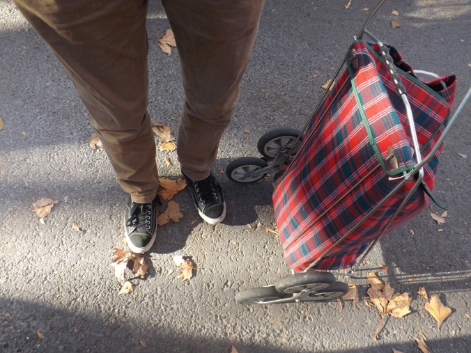 le cabas à roulettes