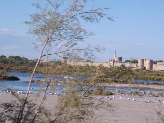 oiseaux devant cité