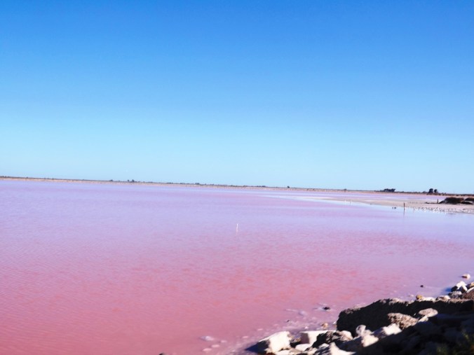 tables salantes mauves