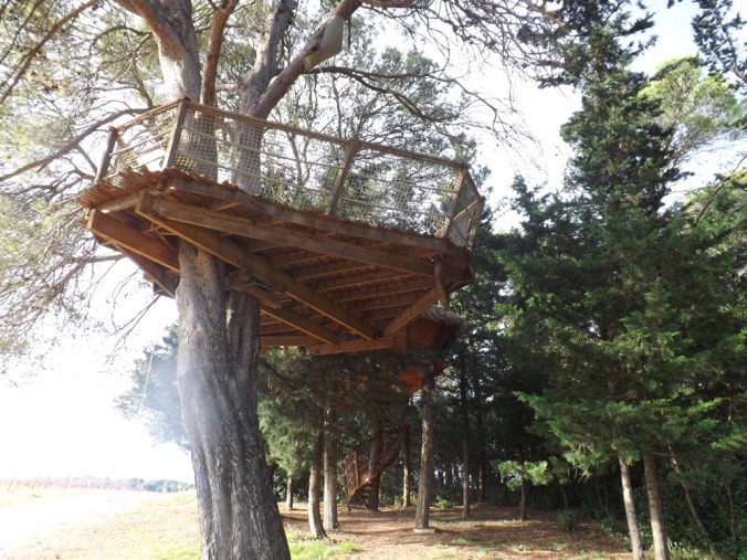 vue dessous la cabane 1