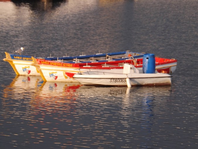 bateaux des joutes sete