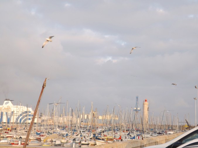 bateaux mouettes et phare mole st louis sete