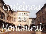 castelnau de montmiral - Copie