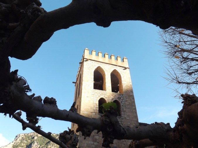 clocher entre les branches d'un platane a villefranche de conflent