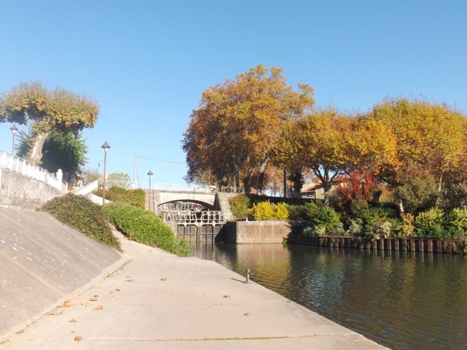 ecluse uvarium moissac