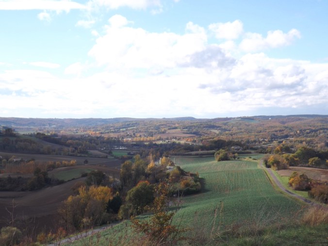 forêt de la Grésigne