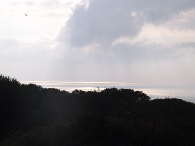 la mer vue depuis la table d'orientation de la forete de sete