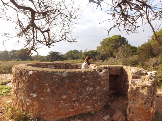 Pauline dans la foret de sete