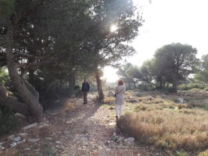 pauline et fred au milieu des pins de la foret de sete
