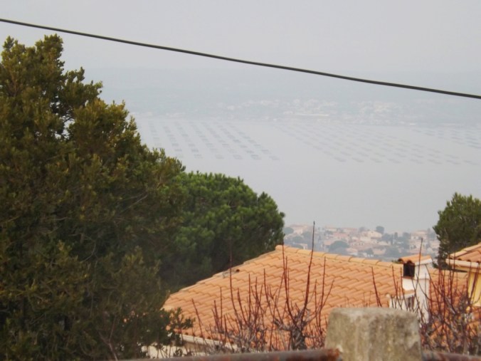 vue sur les tables d'elevage des huitres de l'etang de thau sete