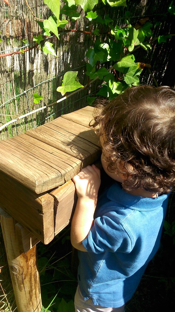 boite a indices labyrinthe des enigmes de teraventure