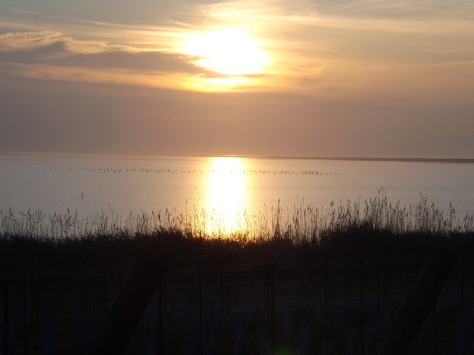 coucher de soleil sur etangs de Maguelonne
