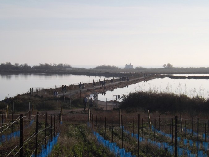 etangs de Maguelonne