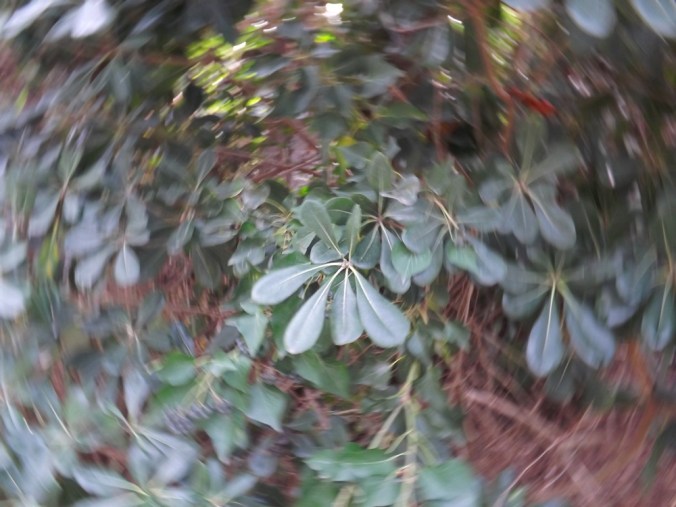 exercice sur la vitesse d'obturation avec une feuille