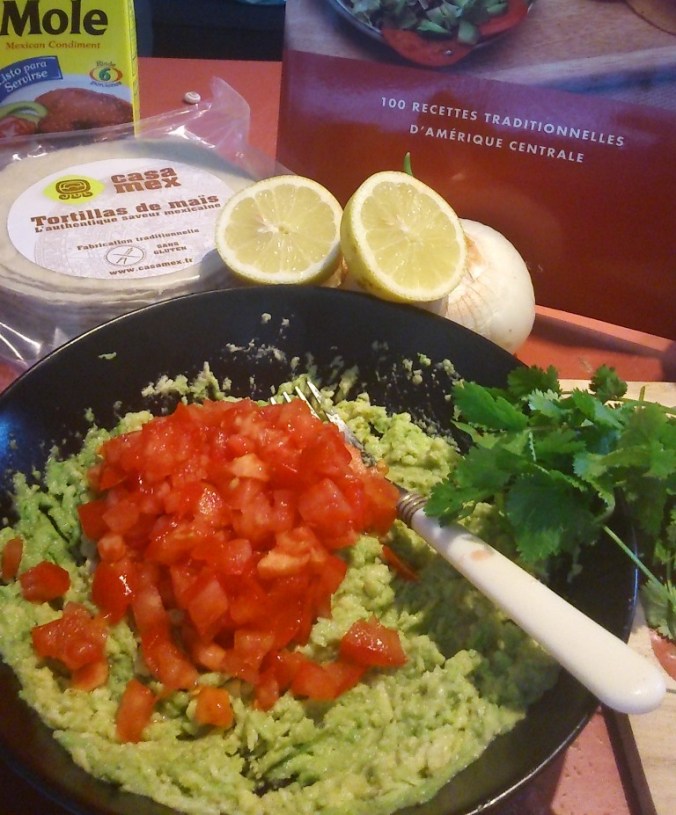 mole guacamole tortillas de mais