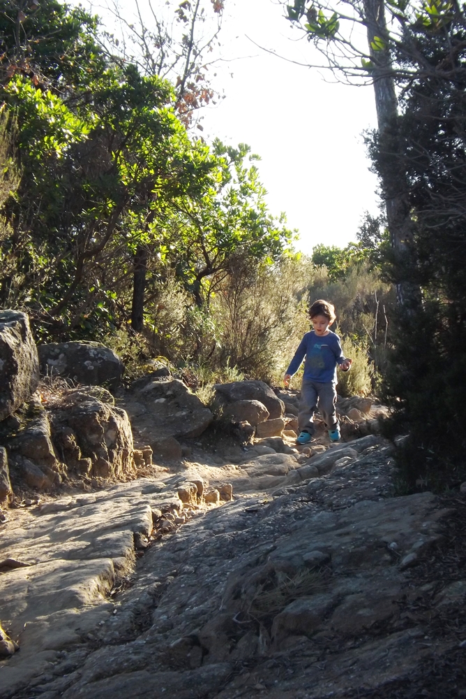 matthieu dans la garrigue de Villeneuvette