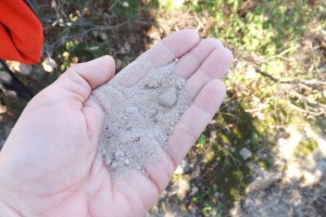 terre sablonneuse de Villeneuvette