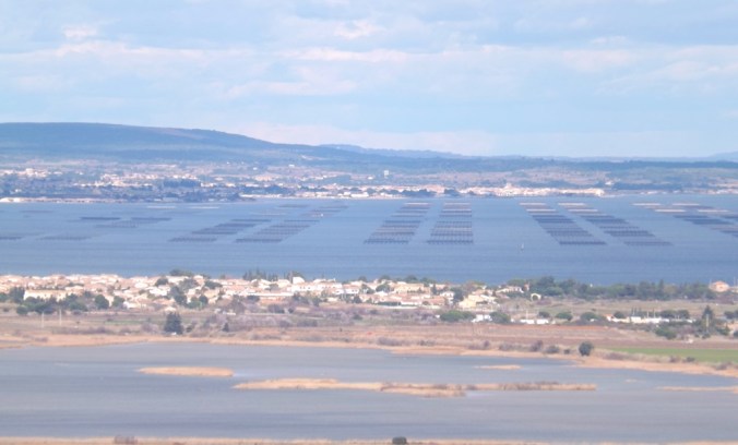 etang de thau vu depuis le mont saint loup agde