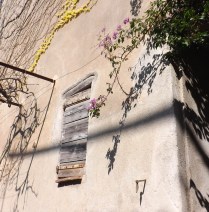 volet facade maison quartier moure de collioure