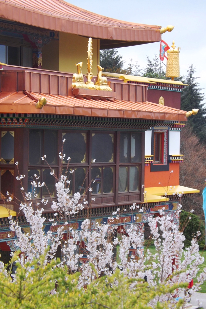 arbre en fleurs devant lerab ling
