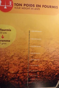 balance poids en fourmis micropolis