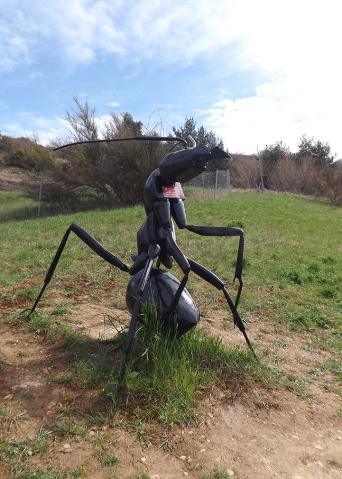 fausse fourmi micropolis