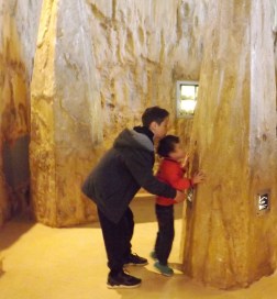 franck et matthieu micropolis