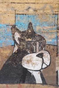 graphe chien pezenas