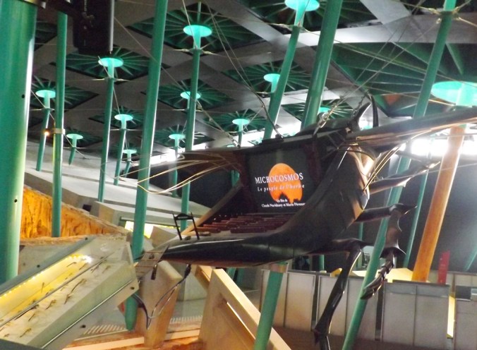 insecte cinema micropolis