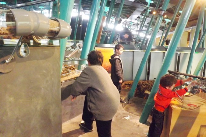 les garcons dans la salle des fourmis micropolis