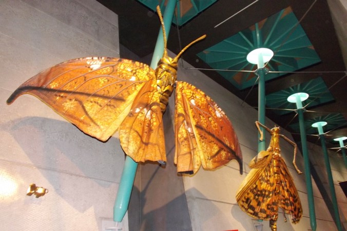 papillons geants micropolis