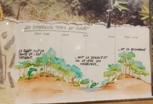 planche carnet de voyage gaston1