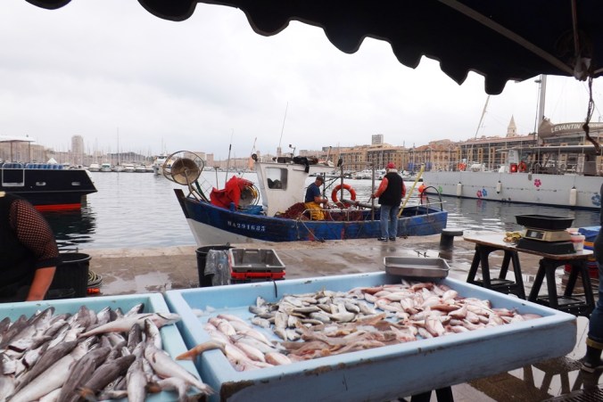 etal poissons vieux port marseille