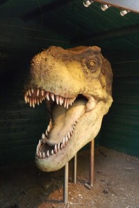 tete de dinosaure parc meze