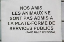 affichette marseille