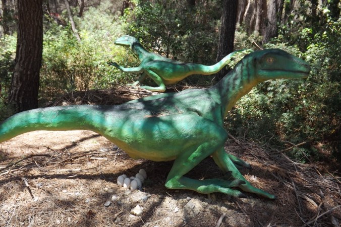 dino pond des oeufs meze