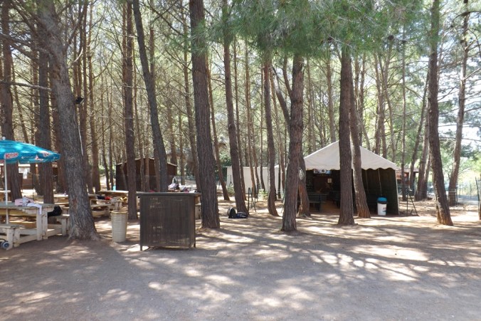 entree parc des dinosaures de meze