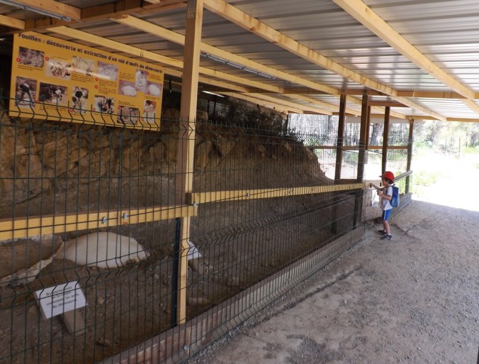 fouilles meze parc dino