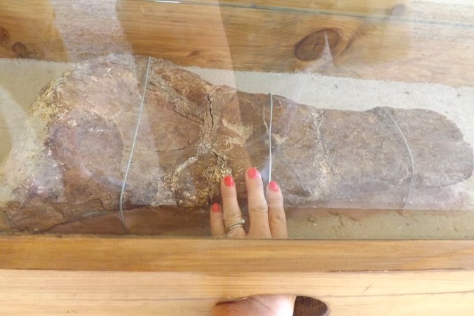 os touve parc meze dino