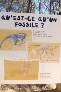 panneau expli fossiles meze