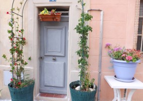 porte pastel le panier marseille