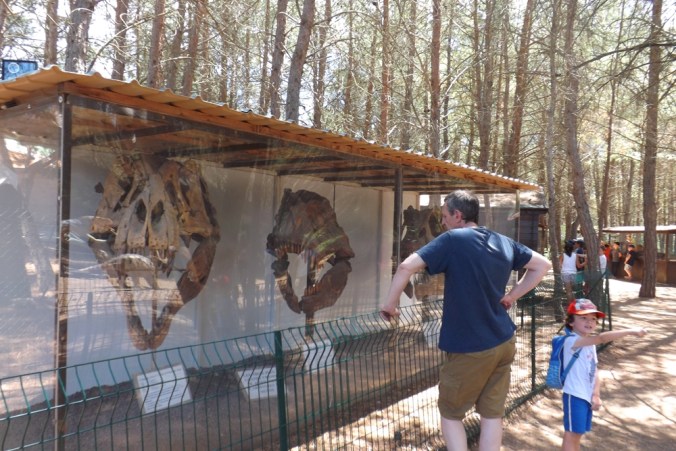 vitrine cranes de dinosaures meze