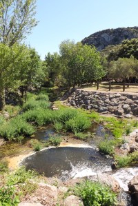 domaine-des-olivettes-vailhan