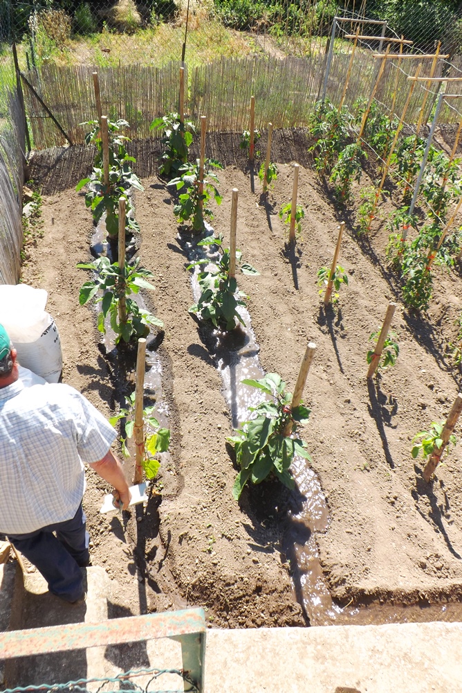 irrigation-dun-jardin-potager-a-vailhan